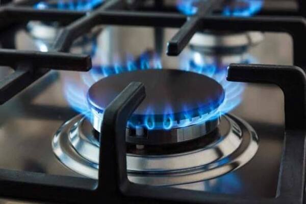 DEVI GAS REPAIR & SERVICE